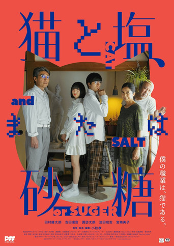 Cat and Salt, or Sugar movie poster
