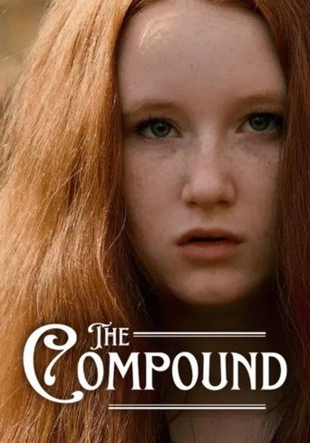 The Compound movie poster