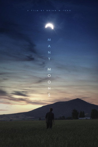 Many Moons movie poster