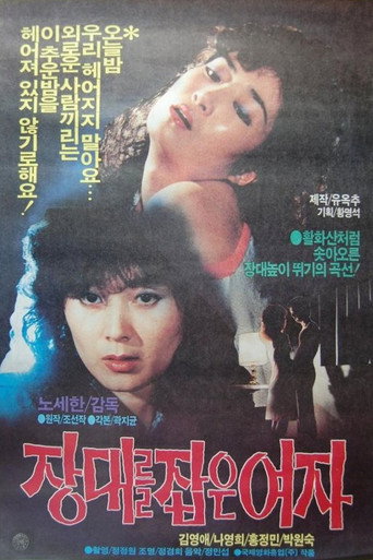 Woman Who Grabbed the Rod movie poster