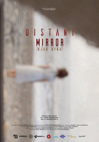 Distant Mirror movie poster