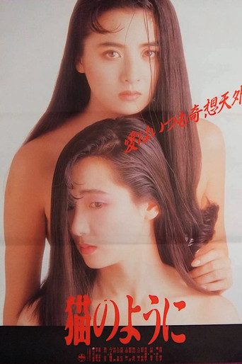 Neko no youni movie poster
