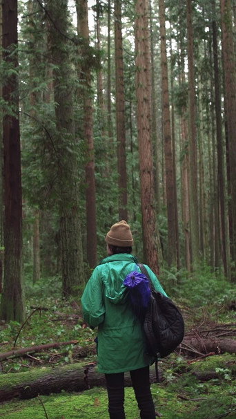 Forest Movie movie poster