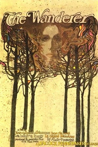 The Wanderer movie poster