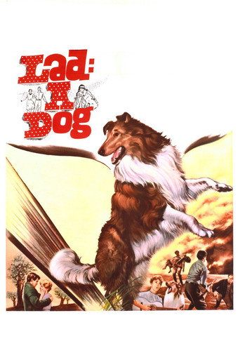 Lad: A Dog movie poster