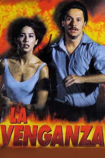 The Revenge movie poster