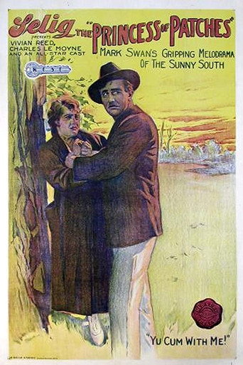 The Princess of Patches movie poster