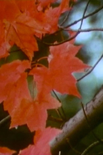 Discovery in a Landscape movie poster