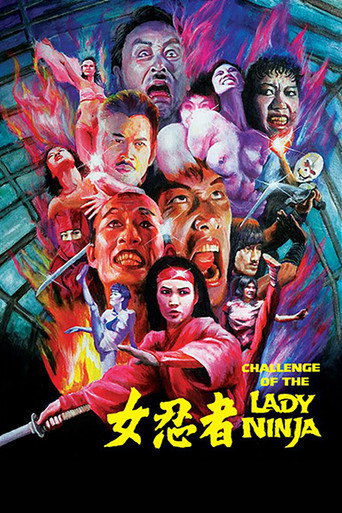 The Challenge of the Lady Ninja movie poster