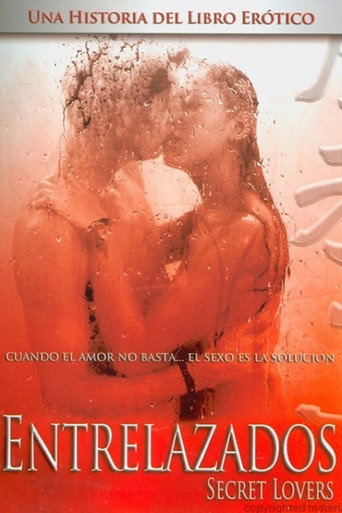 Shibari movie poster