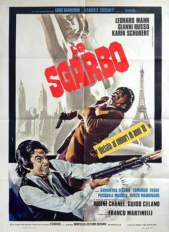 The Slight movie poster