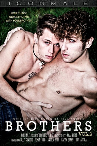 Brothers 2 movie poster
