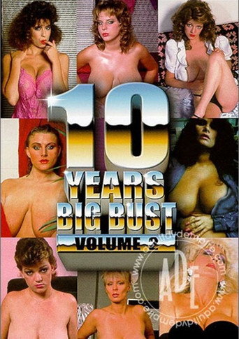 10 Years Big Bust Vol.2 movie poster