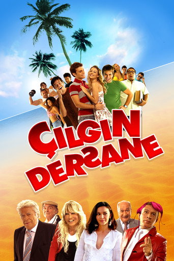 The Class movie poster