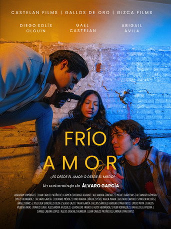 Frío Amor movie poster