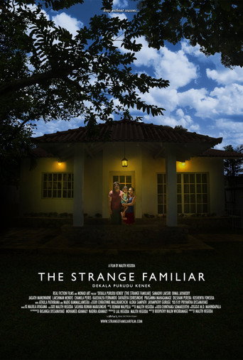 The Strange Familiar movie poster