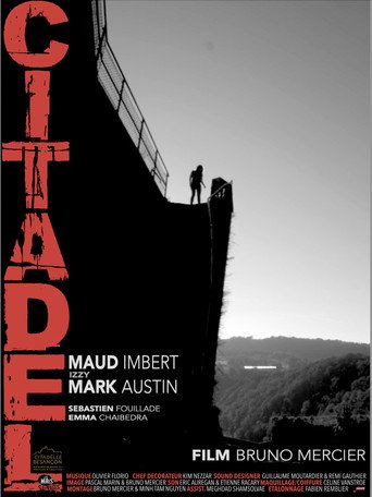 Citadel movie poster