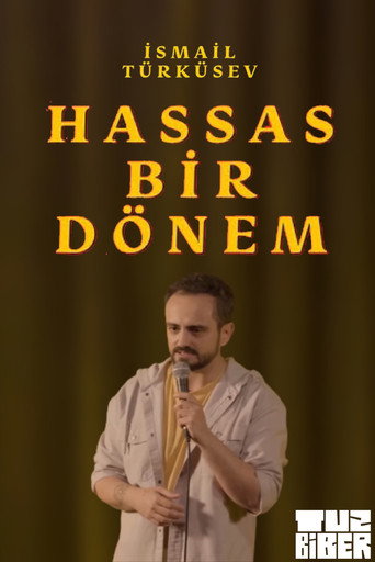 Hassas Bir Dönem - İsmail Türküsev movie poster