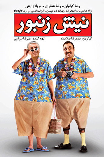 Nish Zanbor movie poster