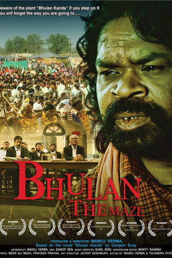Bhulan The Maze movie poster