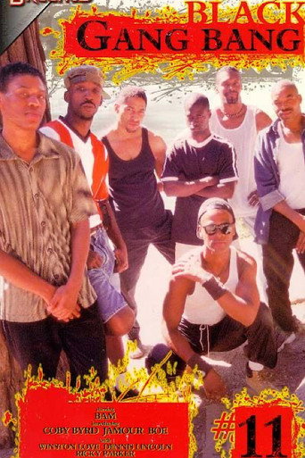 Black Gang Bang 11 movie poster
