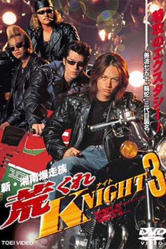 Rough KNIGHT 3 movie poster
