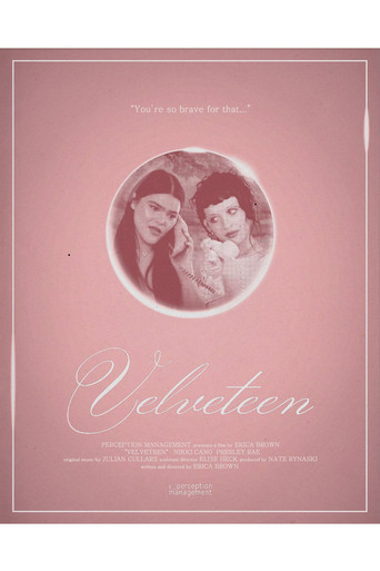 Velveteen movie poster