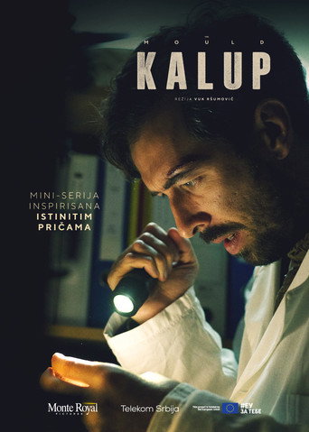 The Mould movie poster