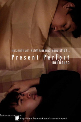 Present Perfect movie poster