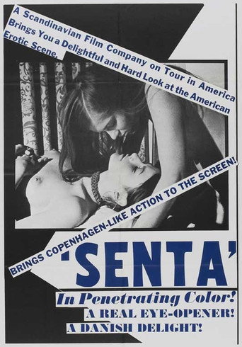 Senta movie poster
