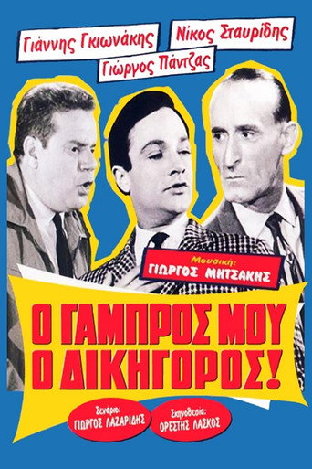 My Groom, the Lawyer! movie poster