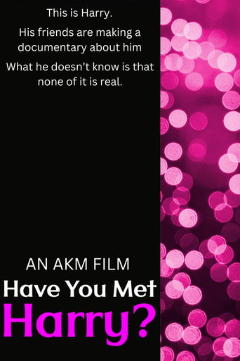 Have You Met Harry? movie poster