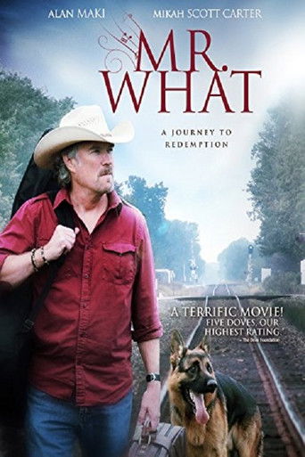 Mr. What movie poster