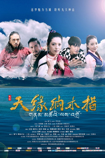 Meet in Namtso movie poster