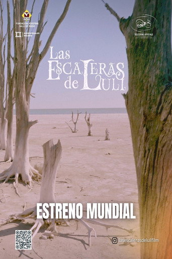 Luli's Stairs movie poster