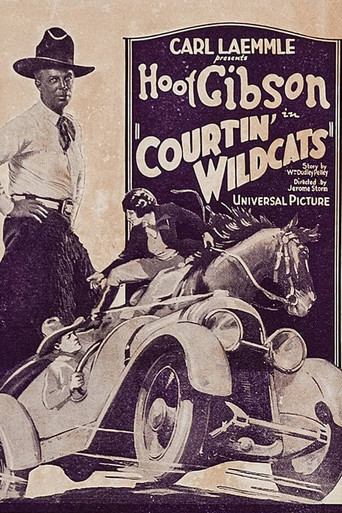 Courtin' Wildcats movie poster