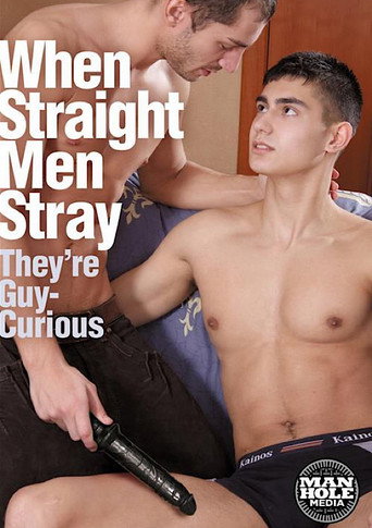When Straight Men Stray movie poster