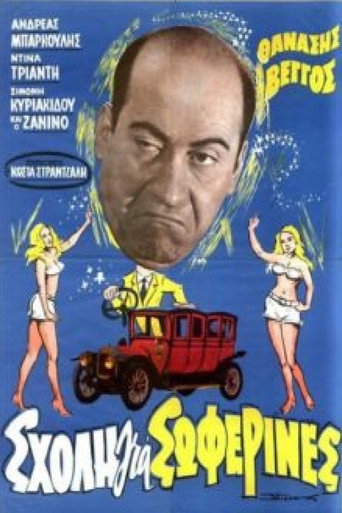 School for Chauffeur Ladies movie poster