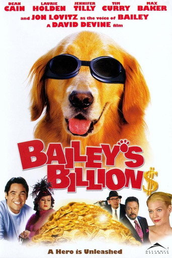 Bailey's Billion$ movie poster