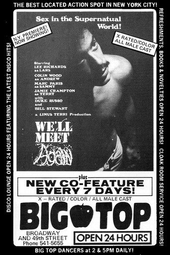 We'll Meet Again movie poster