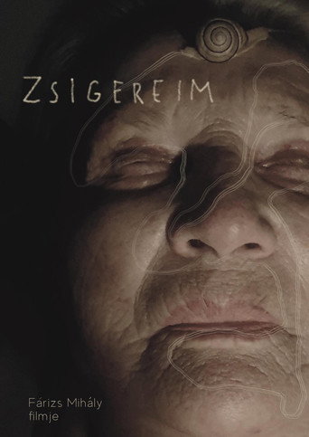 Zsigereim movie poster