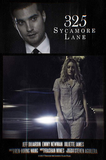 325 Sycamore Lane movie poster