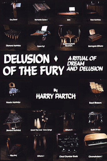 Delusion of the Fury: A Ritual of Dream and Delusion movie poster