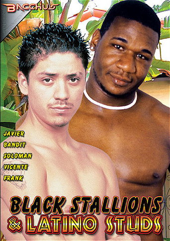 Black Stallions & Latino Studs movie poster