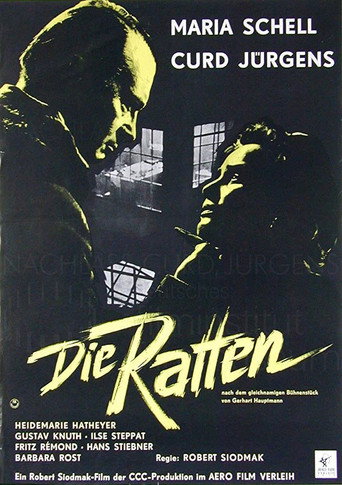The Rats movie poster