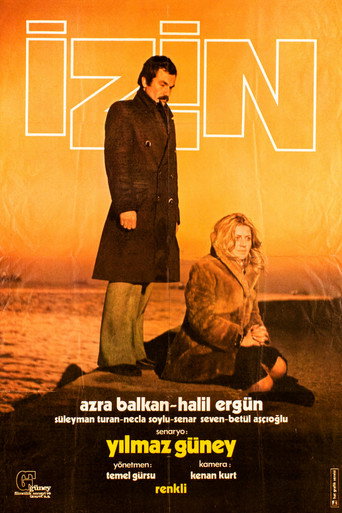 İzin movie poster