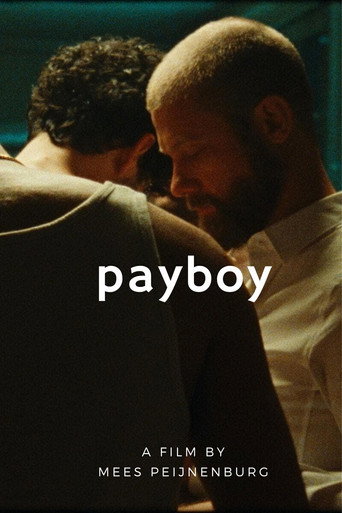 Payboy movie poster