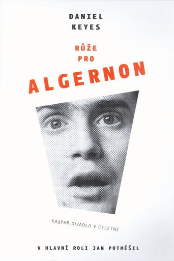 Růže pro Algernon movie poster