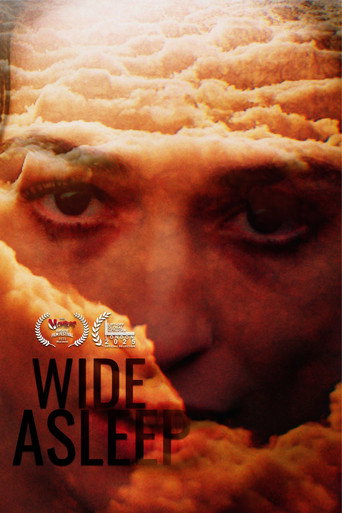 Wide Asleep movie poster