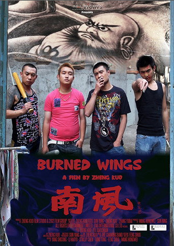 Burned Wings movie poster